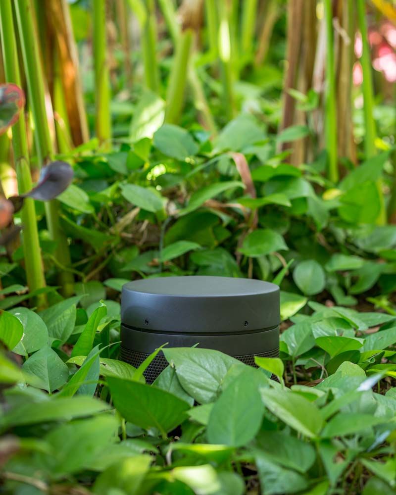 Choose free-standing Ellipse Bollard speakers for the patio and deck or blend bullet speakers among your landscape for hidden yet powerful performance.
